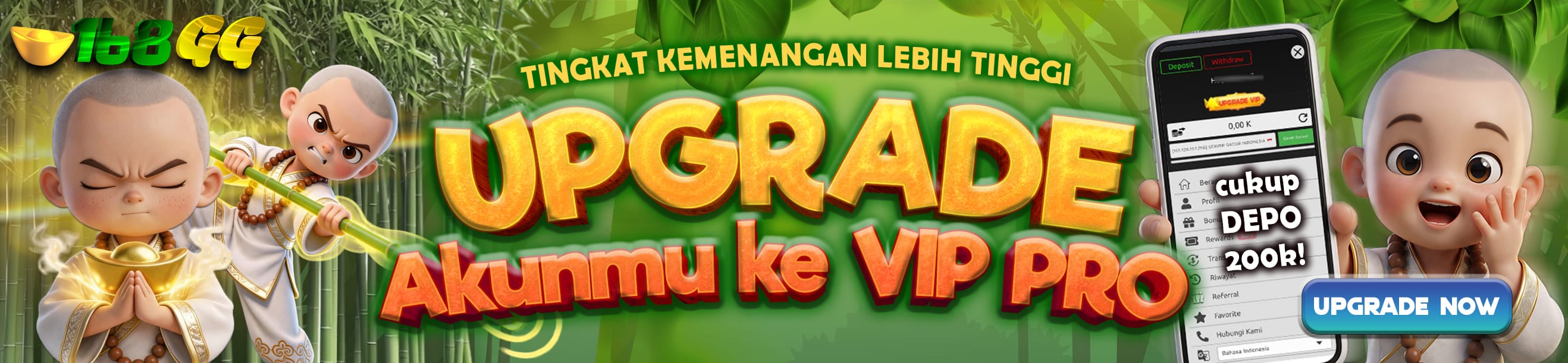 UPGRADE VIP