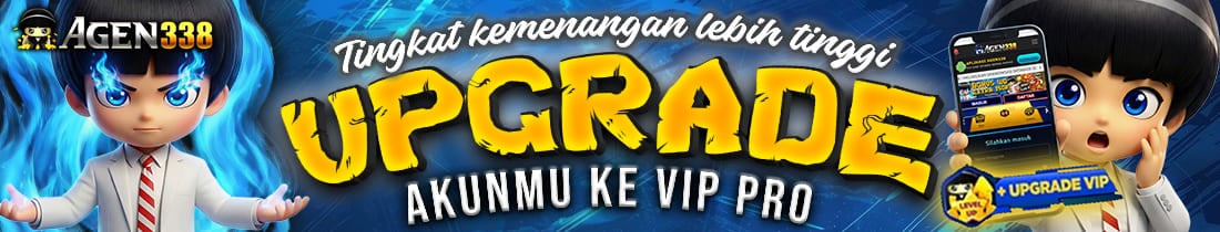 UPGRADE VIP PRO AGEN338